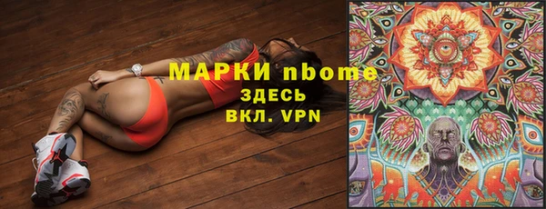 хмурый Няндома