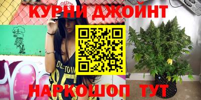 ГАЛЛЮЦИНОГЕННЫЕ ГРИБЫ Сланцы