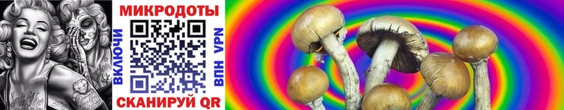купить наркотик  Находка  Псилоцибиновые грибы Magic Shrooms 