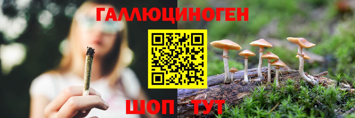 Псилоцибиновые грибы GOLDEN TEACHER  Галлюциногенные грибы Psilocybe  Вход с VPN  Находка 